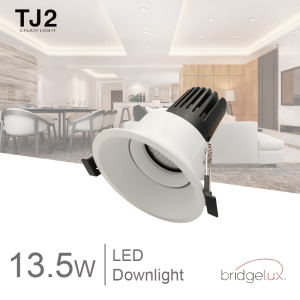 13.5 w led downlight-TJ2 Lighting, LED Lighting Manufacturer in Taiwan, led lighting company, led lighting suppliers, led lighting manufacturers, led lights, taiwan led lights
